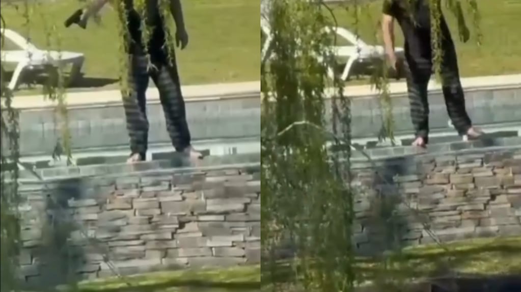 Un hombre les disparó a cinco carpinchos en Nordelta: los vecinos lo filmaron y lo denunciaron por maltrato animal