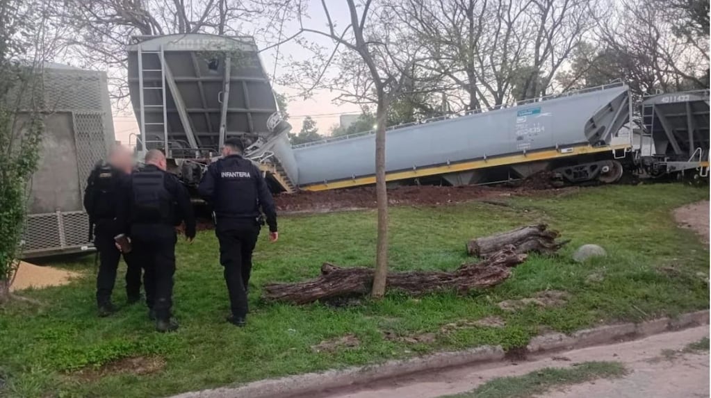 Un tren del Belgrano Cargas descarriló y volcó en Santa Fe