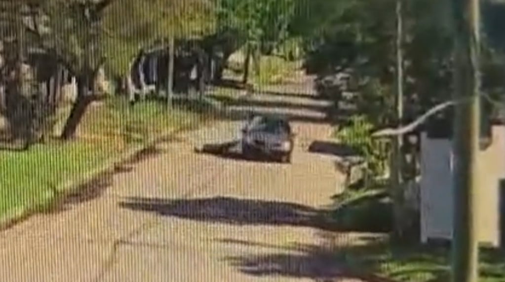 Discutió con un joven, al día siguiente lo cruzó en la calle y lo atropelló: el video del ataque