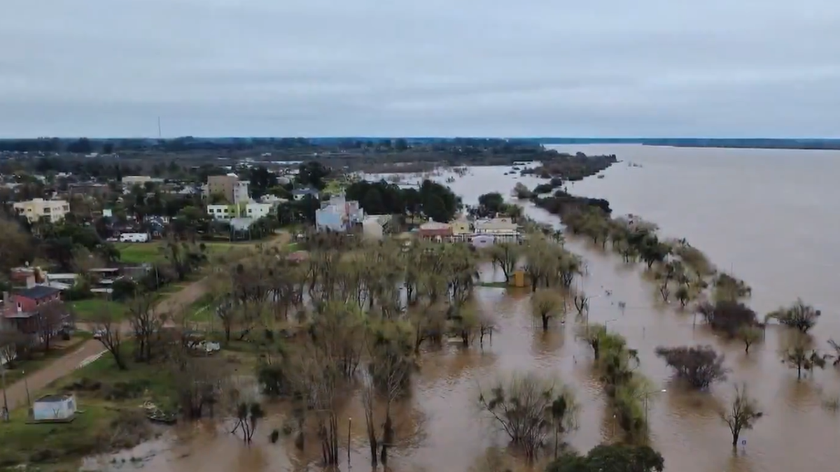 Preocupación en Entre Ríos por la crecida del río Uruguay: hay evacuados y riesgo de nuevas inundaciones