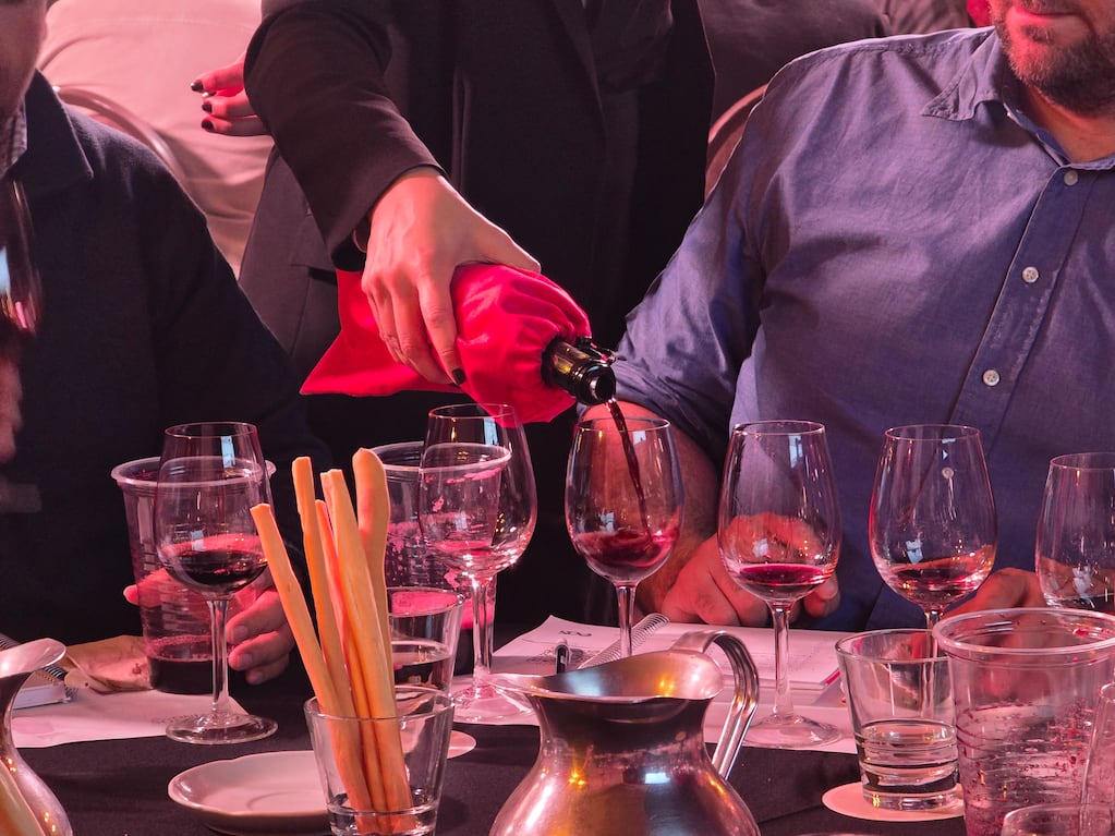 Los 10 vinos argentinos elegidos por los enólogos como los mejores del año: cuáles son y de dónde vienen