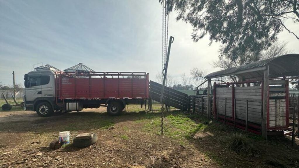 Revocan en una localidad bonaerense la decisión que rechazó devolver las vacas secuestradas, pero siguen en manos del denunciante