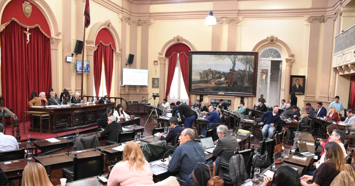 Una ley para desalentar la violencia de los adultos en eventos deportivos infantiles