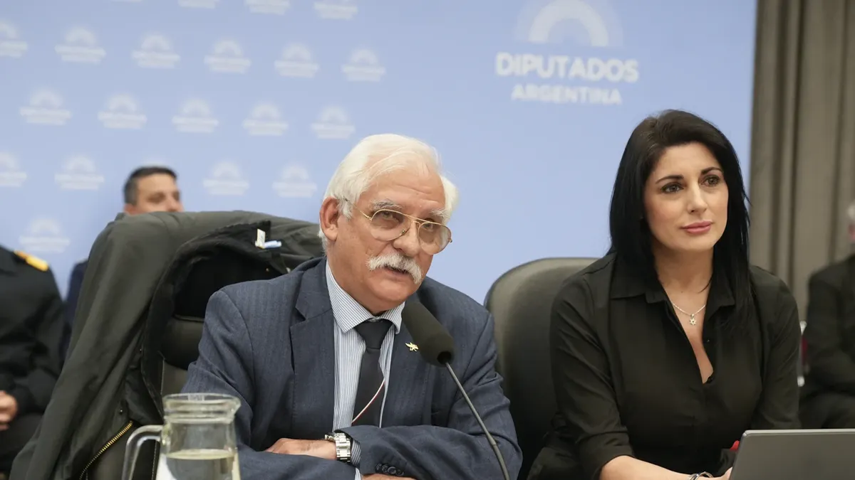 Tras aceptar cambios, el oficialismo consiguió dictamen para el proyecto de defensa de la soberanía