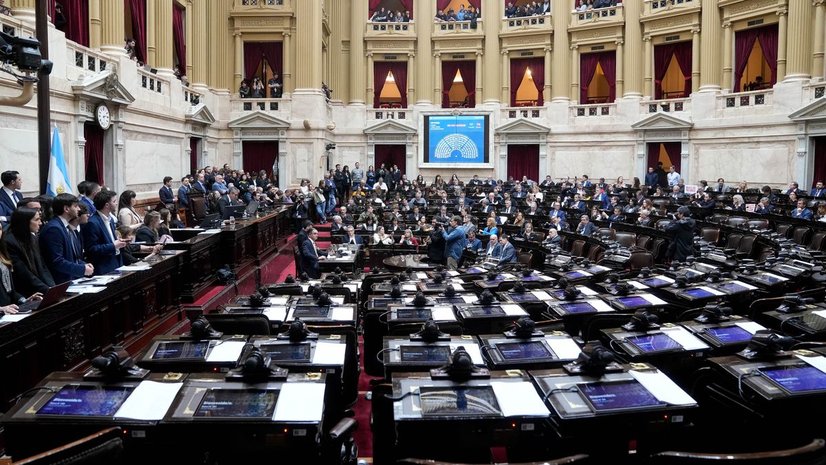 Diputados aprobó fondos para discapacidad: cuáles son los cambios al proyecto del Gobierno